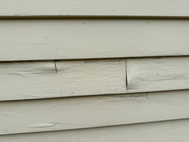 Hargill, TX Siding Installation & Repair Company